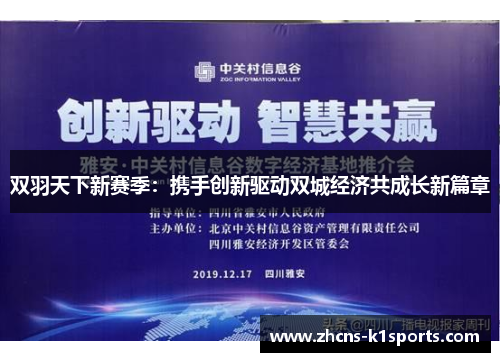 双羽天下新赛季：携手创新驱动双城经济共成长新篇章