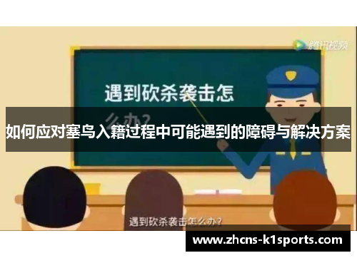 如何应对塞鸟入籍过程中可能遇到的障碍与解决方案